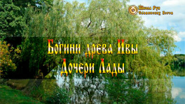 Богини древа Ивы Дочери Лады