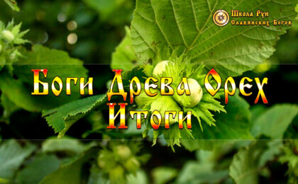 Боги Древа Орех - Итоги