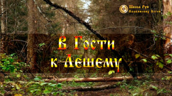В Гости к Лешему