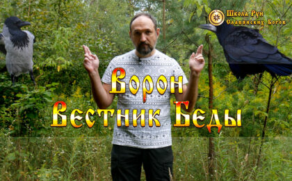 Ворон Вестник Беды