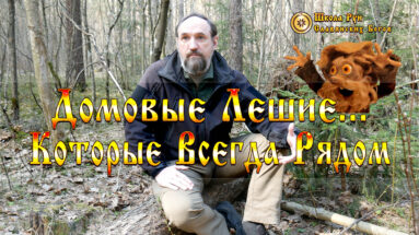 Домовые Лешие и Другие Существа Которые Всегда Рядом