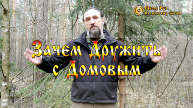 Зачем Дружить с Домовым