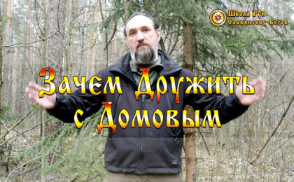 Зачем Дружить с Домовым