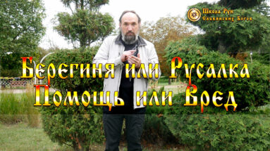 Берегиня или Русалка, Помощь или Вред