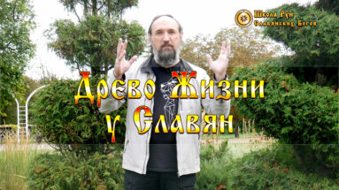 Древо Жизни у Славян